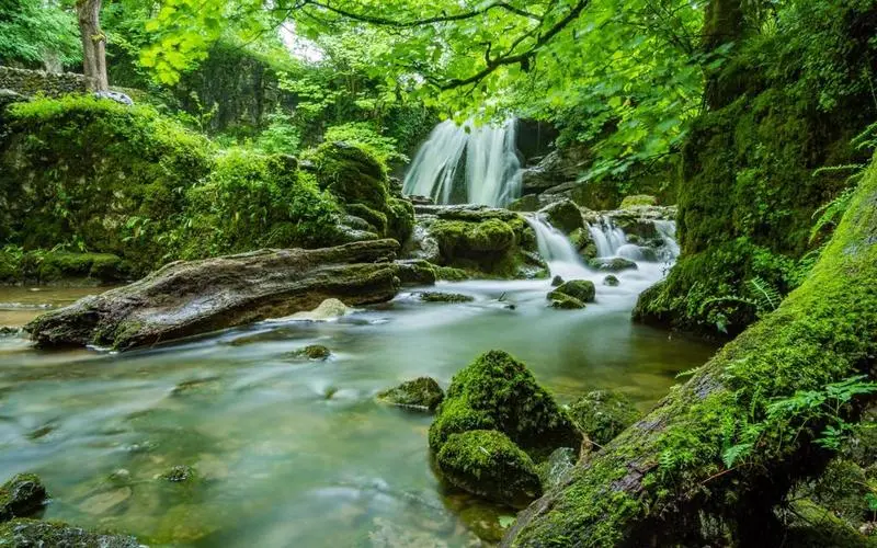 高效绿色高质量